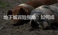 地下城冒险指南：如何成为传奇英雄