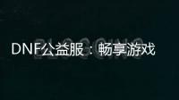 DNF公益服：畅享游戏，无需付费！